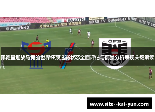佩德里迎战马竞的世界杯预选赛状态全面评估与前景分析表现关键解读