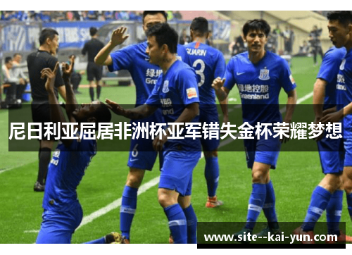 尼日利亚屈居非洲杯亚军错失金杯荣耀梦想 尼日利亚屈居非洲杯亚军错失金杯荣耀梦想