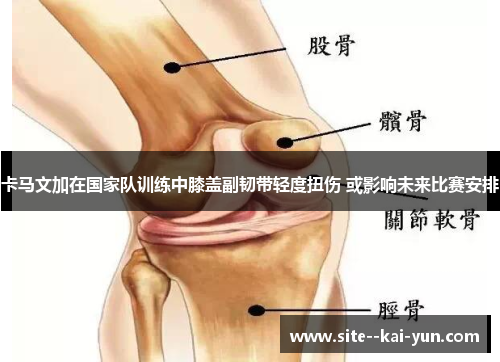 卡马文加在国家队训练中膝盖副韧带轻度扭伤 或影响未来比赛安排